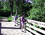 Bridge1.62899.jpg