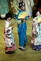 Mikado11.jpg