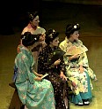 Mikado38.jpg