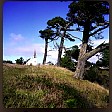 Mendocino0968.JPG