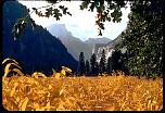 YosVal0868.jpg